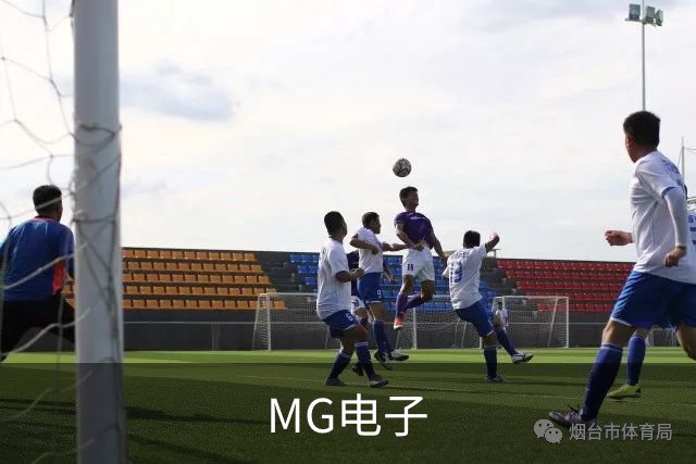 MG电子公司简介图片